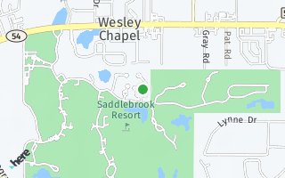 Map of 5359 Pinebark Lane, Wesley Chapel, FL 33543, USA