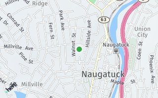Map of 29 Sweeney Street, Naugatuck, CT 06770, USA