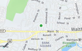Map of 42 Wellington Street, Waltham, MA 02452, USA