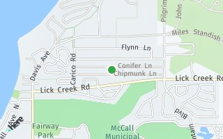 Map of 924 Conifer Ln, McCall, ID 83638, USA